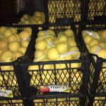 IMG-20160622-WA0011